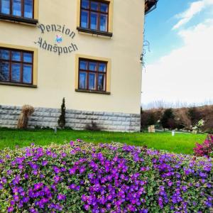 Fotografie z fotogalerie ubytování Penzion Adršpach u Báry v Adršpachu
