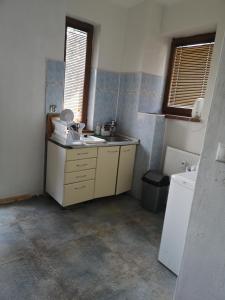 eine kleine Küche mit einem Waschbecken und einem Waschbecken in der Unterkunft apartmánový byt v centre Banskej Bystrice in Banská Bystrica