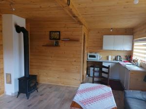 a small kitchen with a stove in a cabin at Łemkowo Pokoje gościnne domek nr 2 in Lutowiska