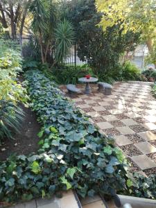 un jardín con muchas plantas verdes en una acera en Belmont Guesthouse, en Bloemfontein