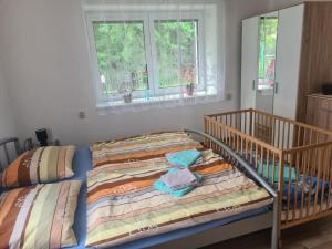 a bedroom with two twin beds and two windows at Chata Nový Ples in Nový Ples