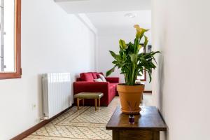 Posezení v ubytování Casa Po