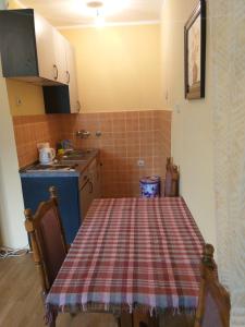 A kitchen or kitchenette at Apartment Davidovic