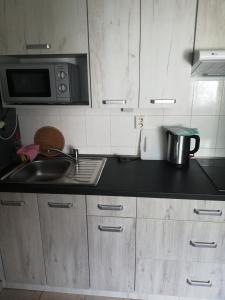 a kitchen with a sink and a microwave at Ubytování Maxa in Špičák