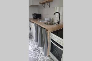 a small kitchen with a sink and a dishwasher at Le BEauséjour - Cosy T2 - Business ou we - gare in Bellegarde-sur-Valserine