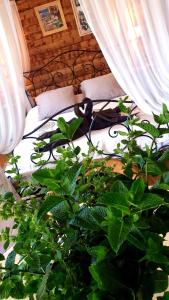 Zahrada ubytování Chambre d'hôtes Le Petit Ranch