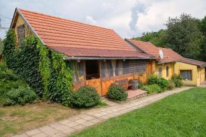 Vonkajšia záhrada v ubytovaní Tókert Vendégház