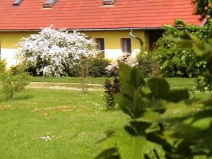 Vonkajšia záhrada v ubytovaní Tókert Vendégház