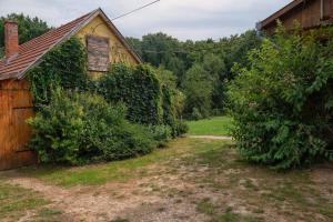 Vonkajšia záhrada v ubytovaní Tókert Vendégház