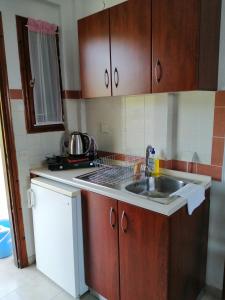 a kitchen with a sink and a counter top at Avra Ηouse in Kriopigi