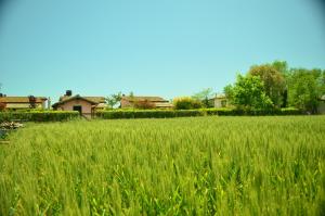 Gallery image of Agriturismo Le Grazie in Principina Terra