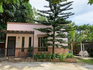 a pine tree in front of a house at Felicitas Tagaytay in Tagaytay