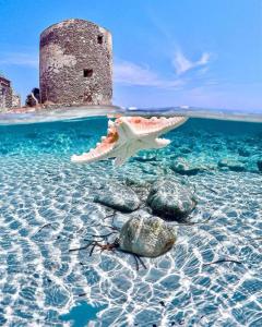 a shell in the water in front of a tower at TERESA HOLIDAY in Sarroch