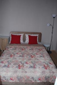 a bedroom with a bed with red pillows at Apartmani ,studija i sobe Savić in Soko Banja