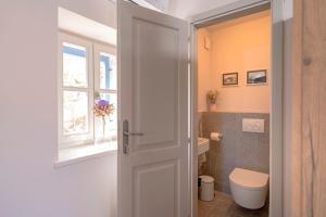 a bathroom with a toilet and a window at Villa Zanino in Veliko Grablje