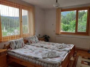 a bedroom with a bed and two windows at Guest House Stoletnika in Yagodina