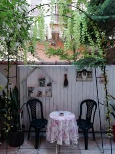 Zahrada ubytování Art Guest House Orchidea