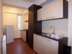 a small kitchen with a sink and a refrigerator at Tuya Residence in Eforie Nord