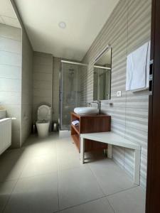 a bathroom with a sink and a toilet at Hotel Gasthof Delitz in Spital am Semmering