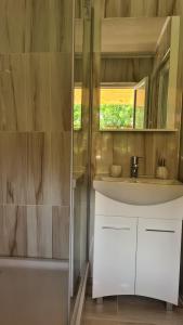 a bathroom with a white sink and a mirror at Casa Lira Orșova in Orşova