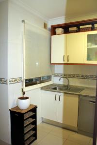 Kuchyňa alebo kuchynka v ubytovaní Apartamento con Terraza y Piscina, Baiona