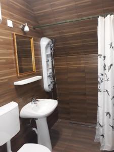 een badkamer met een wastafel, een toilet en een douche bij St. Kristóf Vendégház in Abádszalók