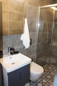 凱梅爾的住宿－Alpat Homes，浴室配有卫生间、盥洗盆和淋浴。