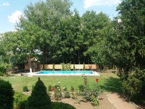 a swimming pool in a yard with trees at Slavyanskiy Club in Poltava