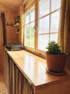 a potted plant sitting on a counter in a kitchen at Nature retreat in a beautiful off-grid cabin in Rouge