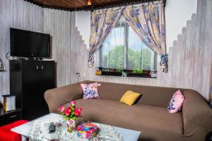 a living room with a couch and a television at Ruralna kuća za odmor LOVRAK in Budrovac