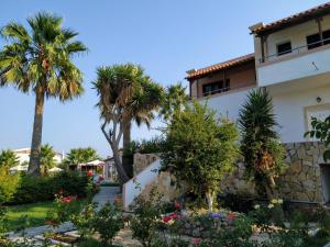 A garden outside Pardalakis Studios