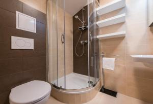 a bathroom with a shower with a toilet and a sink at Apartmán U Berty Třeboň in Třeboň +18 photos