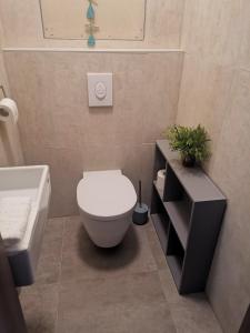 a bathroom with a white toilet and a sink at Vízpart Hullám Apartman in Balatonlelle