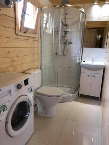 a bathroom with a shower toilet and a washing machine at Black Horse in Pasłęk