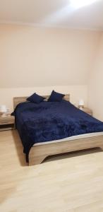 um quarto com uma cama com um edredão azul em Boglárka Apartman em Hajdúszoboszló