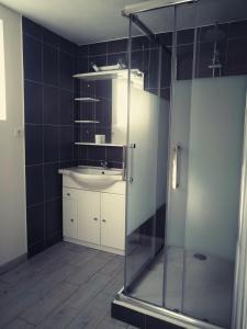 y baño con ducha acristalada y lavamanos. en Gîte La Halte Del Burro en Vernet-les-Bains