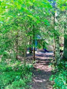 a forest of trees with a tent in the background at Riksi püstkoda in Hiiumaa