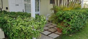 Taman di luar Beryls at Seawind on the Bay , Montego Bay , Jamaica