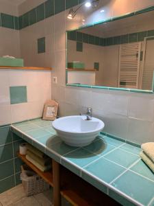 a bathroom with a sink and a mirror at A La Mare du Vieux Chêne in Bellegarde-Poussieu +23 photos