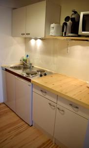 Kuchyňa alebo kuchynka v ubytovaní Gosau Apartment 209