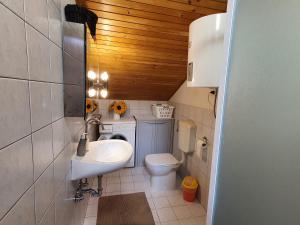 a small bathroom with a sink and a toilet at Green Garden NAT in Koper