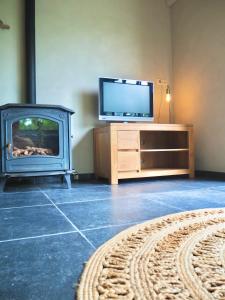 een woonkamer met een televisie en een open haard bij Zilt7 in Callantsoog
