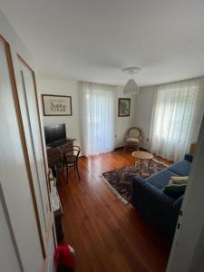 un soggiorno con divano blu e pavimento in legno di Casa da Rina a Siror