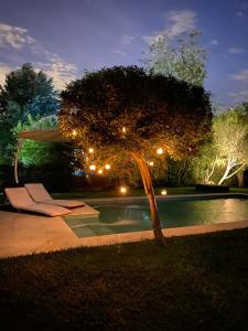 un árbol sentado junto a una piscina por la noche en Haras Santa María en Matheu