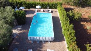 an overhead view of a swimming pool in a garden at Trulli di Rosa in Locorotondo