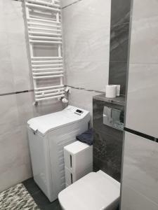 Łazienka z białą toaletą i drabiną w obiekcie Apartament Słoneczny Taras w Kołobrzegu +6 zdjęć