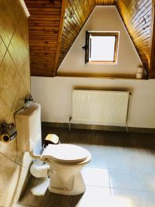 ブシュテニにあるPensiunea Kalinderのバスルーム(白いトイレ付)が備わります。