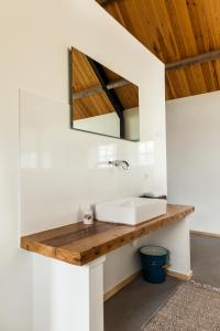een badkamer met een wastafel en een spiegel bij B&B Grevenberg in Oosterhesselen