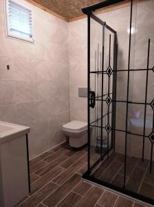 a bathroom with a shower with a toilet and a sink at Kure Dag Evi in Ulus