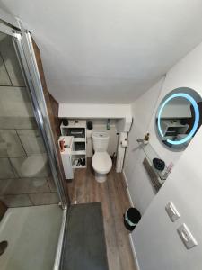 a small bathroom with a toilet and a shower at Lodge de la Gare Vue Cathédrale in Rouen